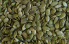 pumpkin seed kernel