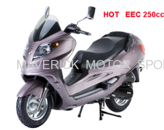 250cc EEC Gas Scooter