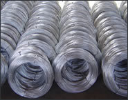 Anping Tianqi Metal Wire Products Co.,Ltd