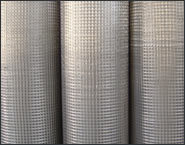 Anping Tianqi Metal Wire Products Co.,Ltd