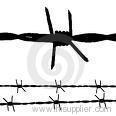barbed wire