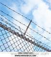 barbed wire