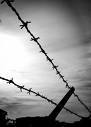 barbed wire