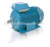 ELECTRIC MOTOR