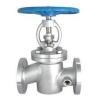 Jacket globe valve