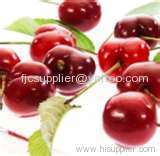 Sour Cherry