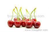 Sour Cherry