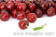 Sour Cherry