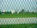 Green Color Expanded Metal Fence