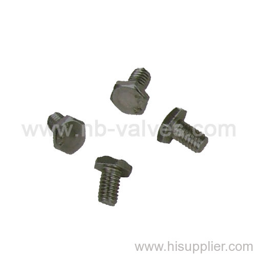 Stainless Steel Screw