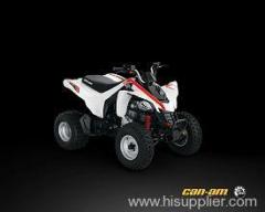 2009 Can-Am DS 250