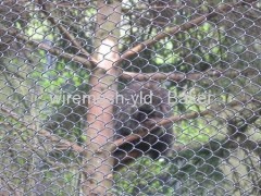 galvanized diamond Animal Fence