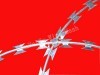 Razor barbed wire, razor wire ,concetina razor wire