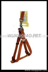 dog harness and leash