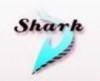 Shark Technology Co.,LTD