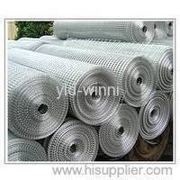 Galvanized Welded Wire Mesh Rolls