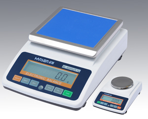 Electronic Weighing Balances