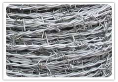 stainless steel Barbed Wire