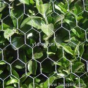 Hexagonal Wire Mesh Fencings