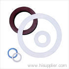 PTFE Gasket