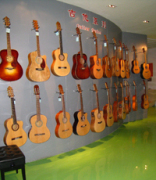 Tianjin Canex Musical Instruments Co.,Ltd.