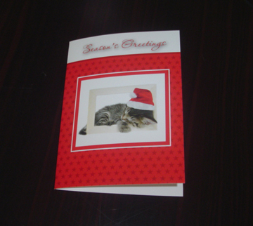 Christmas greeting card