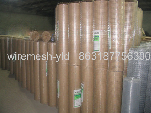 Galvanized Welded Wire Mesh