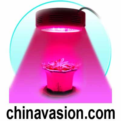 LED Grow Light