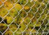 CHAIN LINK FENCE