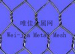 Hexagonal wire mesh