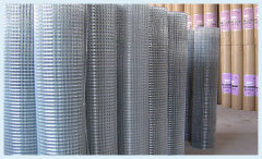 Hebei Xiyue Hardware Mesh Products Co., Ltd.