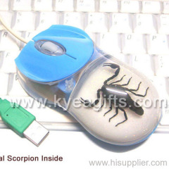 USB Optical Computer Mouse