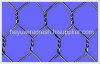 Hexagonal wire netting