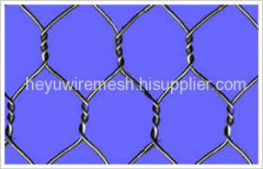 Hexagonal wire netting