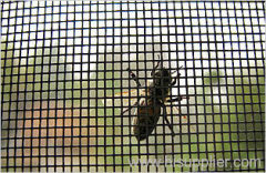 insect screen