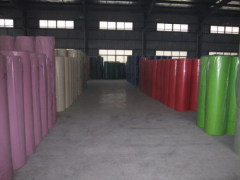 Qingdao Sanguan Bags and Non-Woven Fabric Co., Ltd.