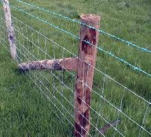 Field fence