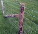 Field fence