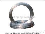 Galvanized Wires