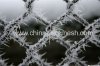 Chain Link Fence