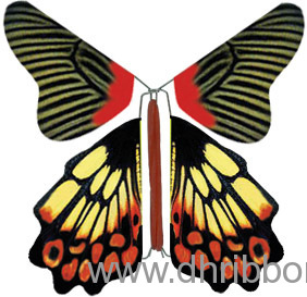 handcraft butterfly