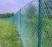 grassland chain link fences