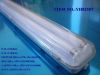 IP65 Fluorescent Lamp T5 T8