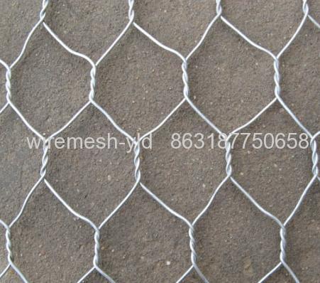 white coated hexagonal wire meshes