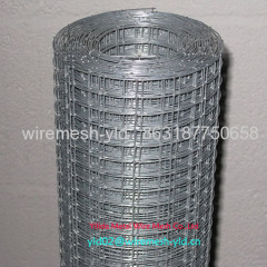 Hot-dipped Galvanized Welded Wire Mesh Rolls