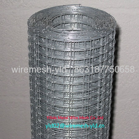 Hot-dipped Galvanized Welded Wire Mesh Rolls