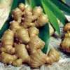 Ginger Root P.E.