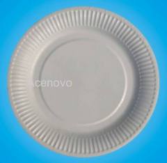 Paper Plate