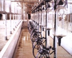 central milking system