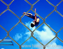 chain link fence for Sport Yard